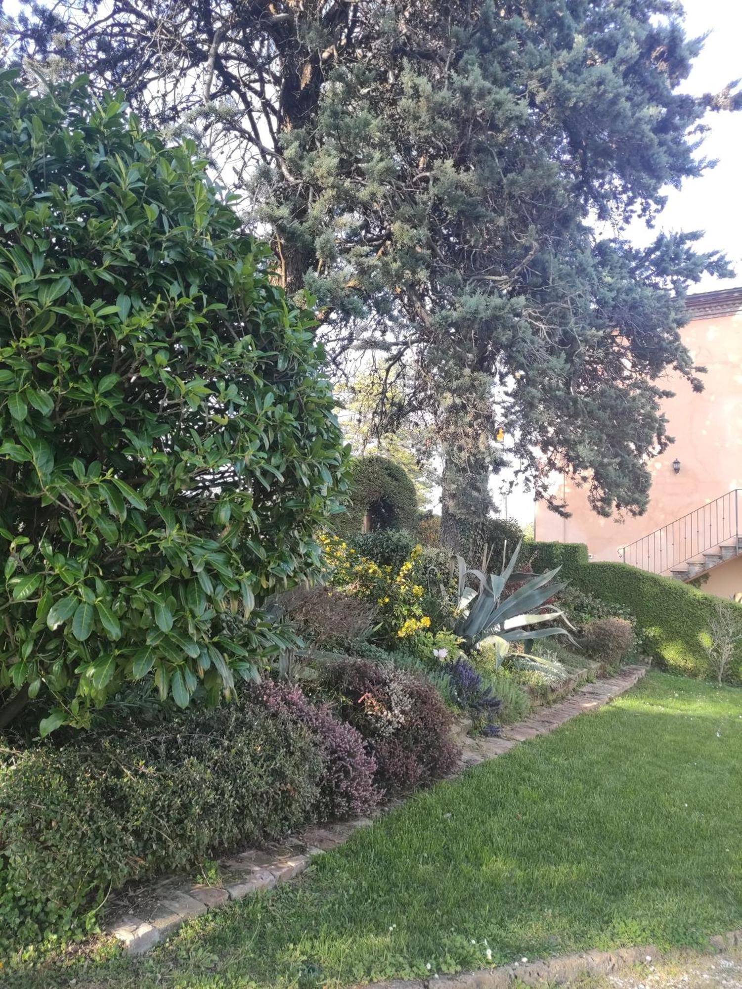 Bed and Breakfast La Pergola Becedasco Exteriér fotografie